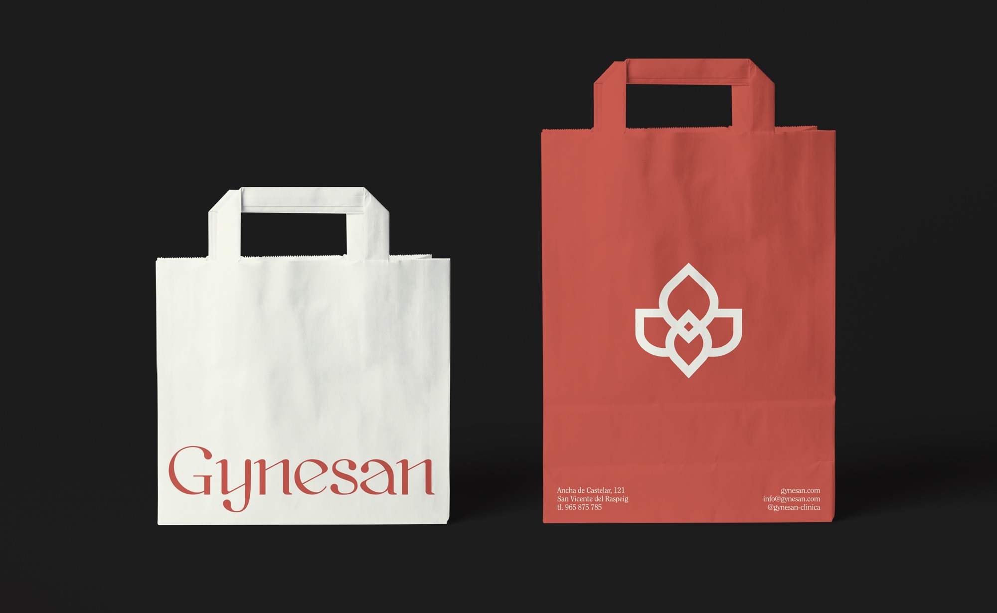 Diseño y desarrollo de identidad visual corporativa para Gynesan. Bolsa de papel.
