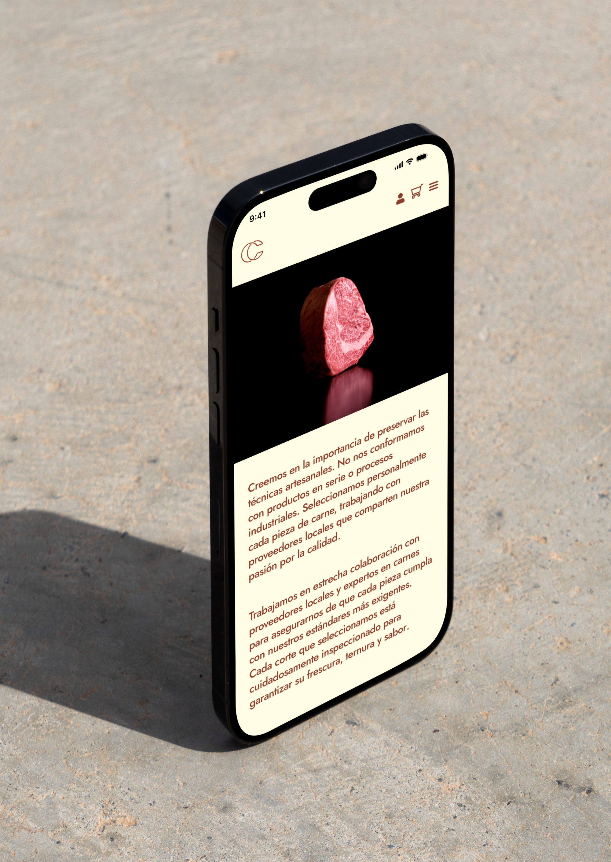 Diseño y desarrollo de website e-commerce para Carnes Campoy. Detalle web en movil.