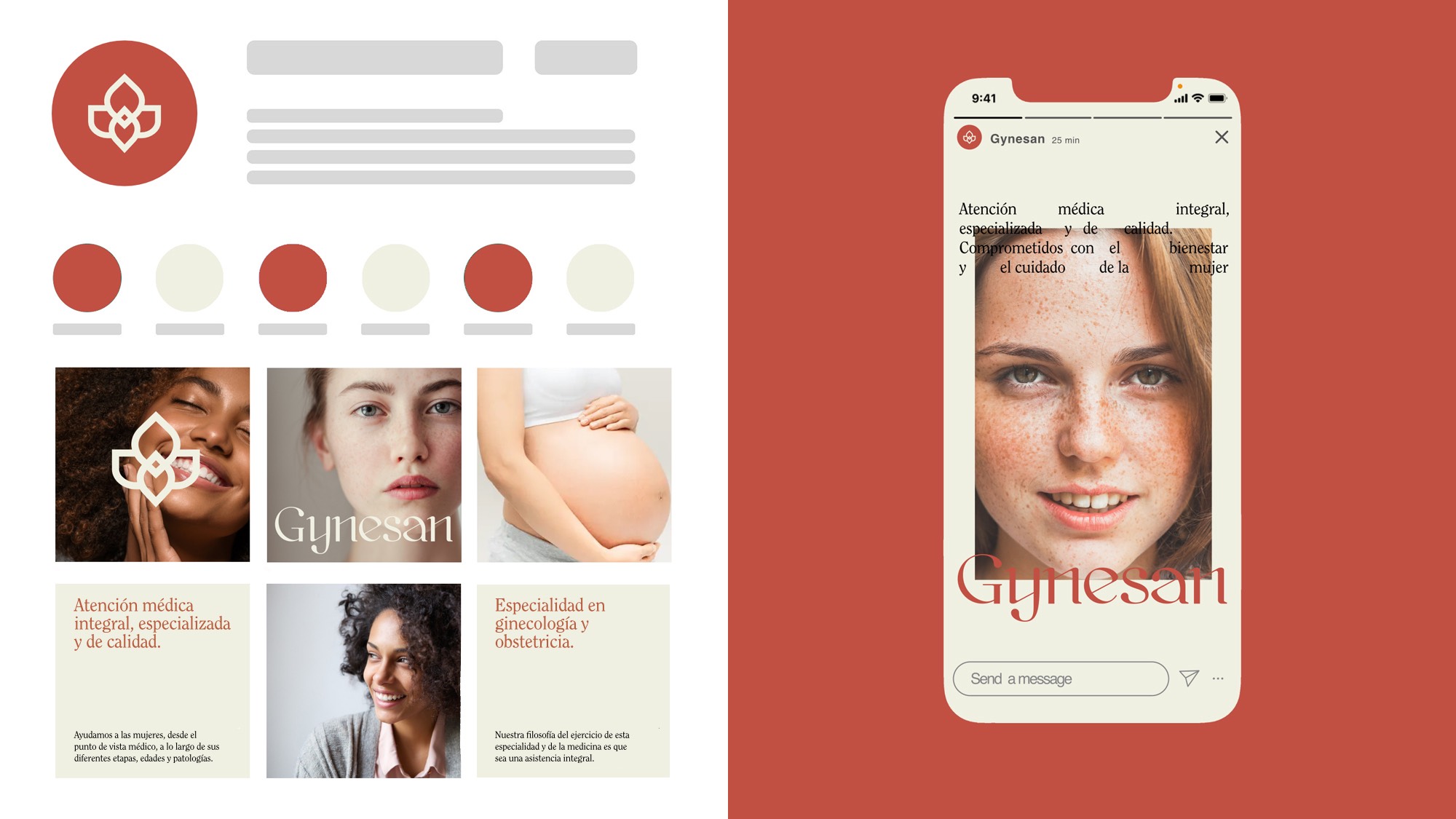 Diseño y desarrollo de identidad visual corporativa para Gynesan. Instagram layout.