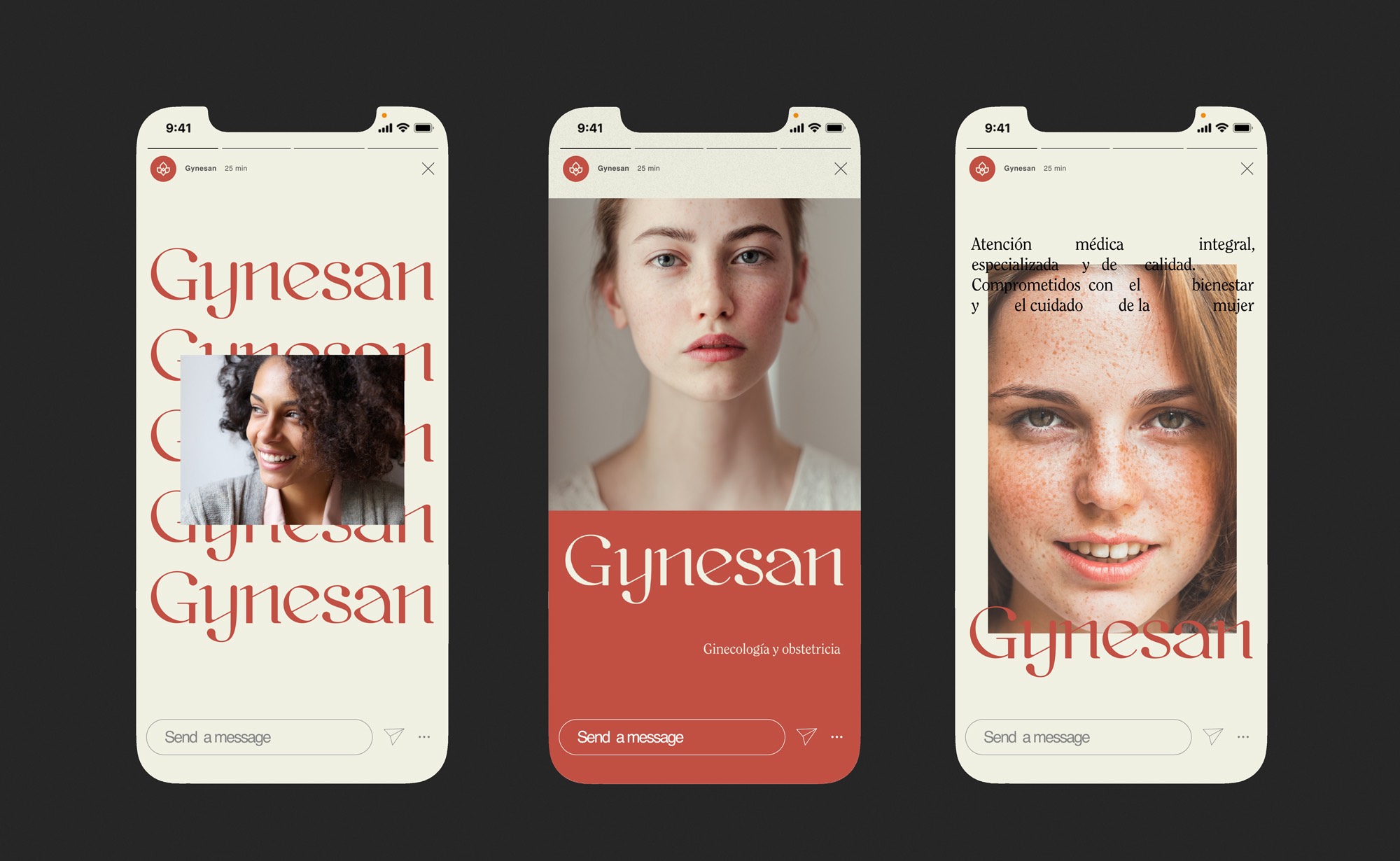 Diseño y desarrollo de identidad visual corporativa para Gynesan. Templates para instagram stories.