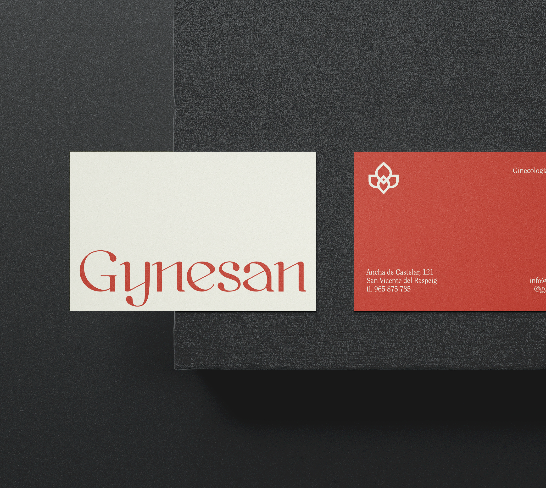 Gynesan, identidad visual