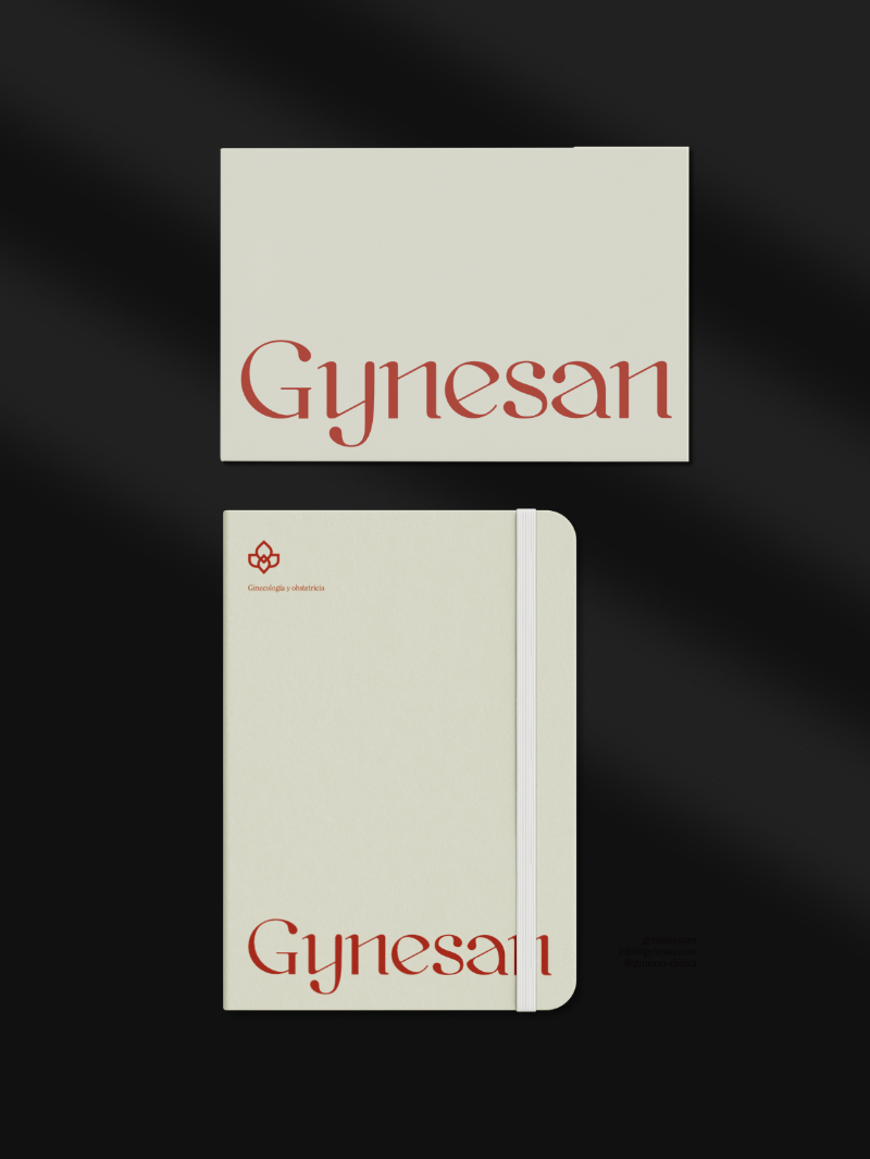 Diseño y desarrollo de identidad visual corporativa para Gynesan. Notebook.