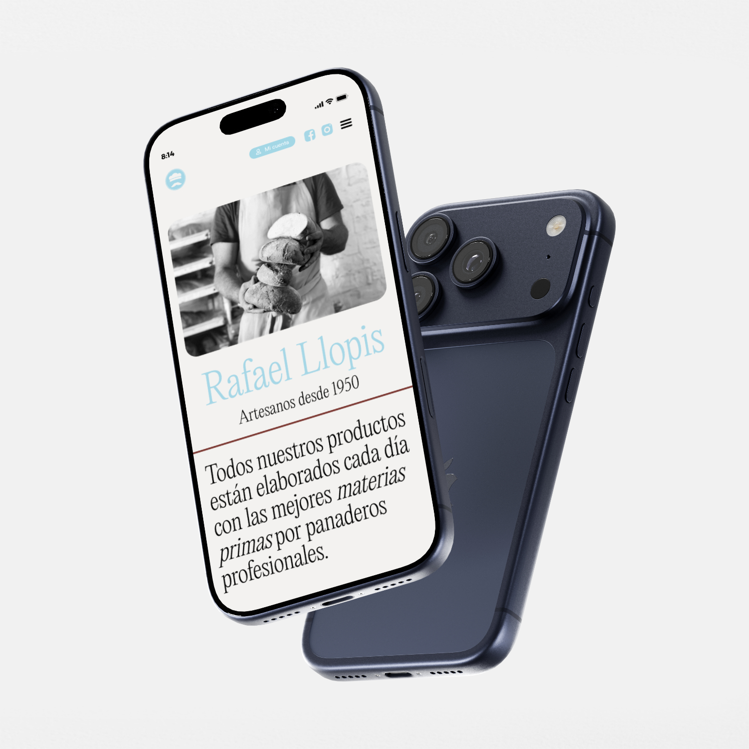 Belle Èpoque, branding, website