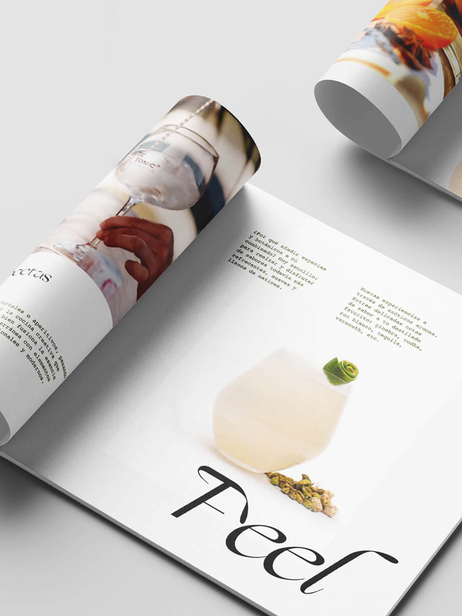 Diseño y desarrollo de packaging para Té-Tonic Experience. Vista detalle interior díptico.