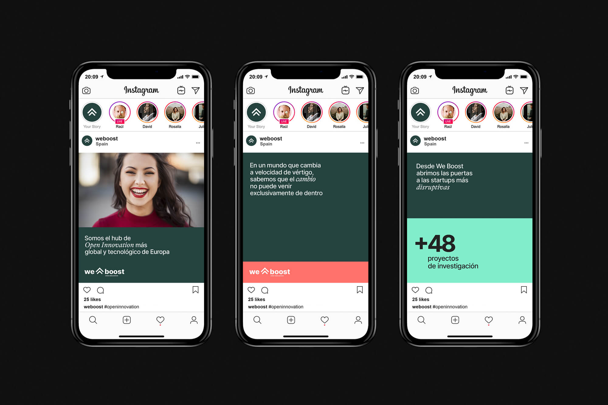 Diseño y desarrollo de website corporativo para Weboost. Vista detalle post Instagram.
