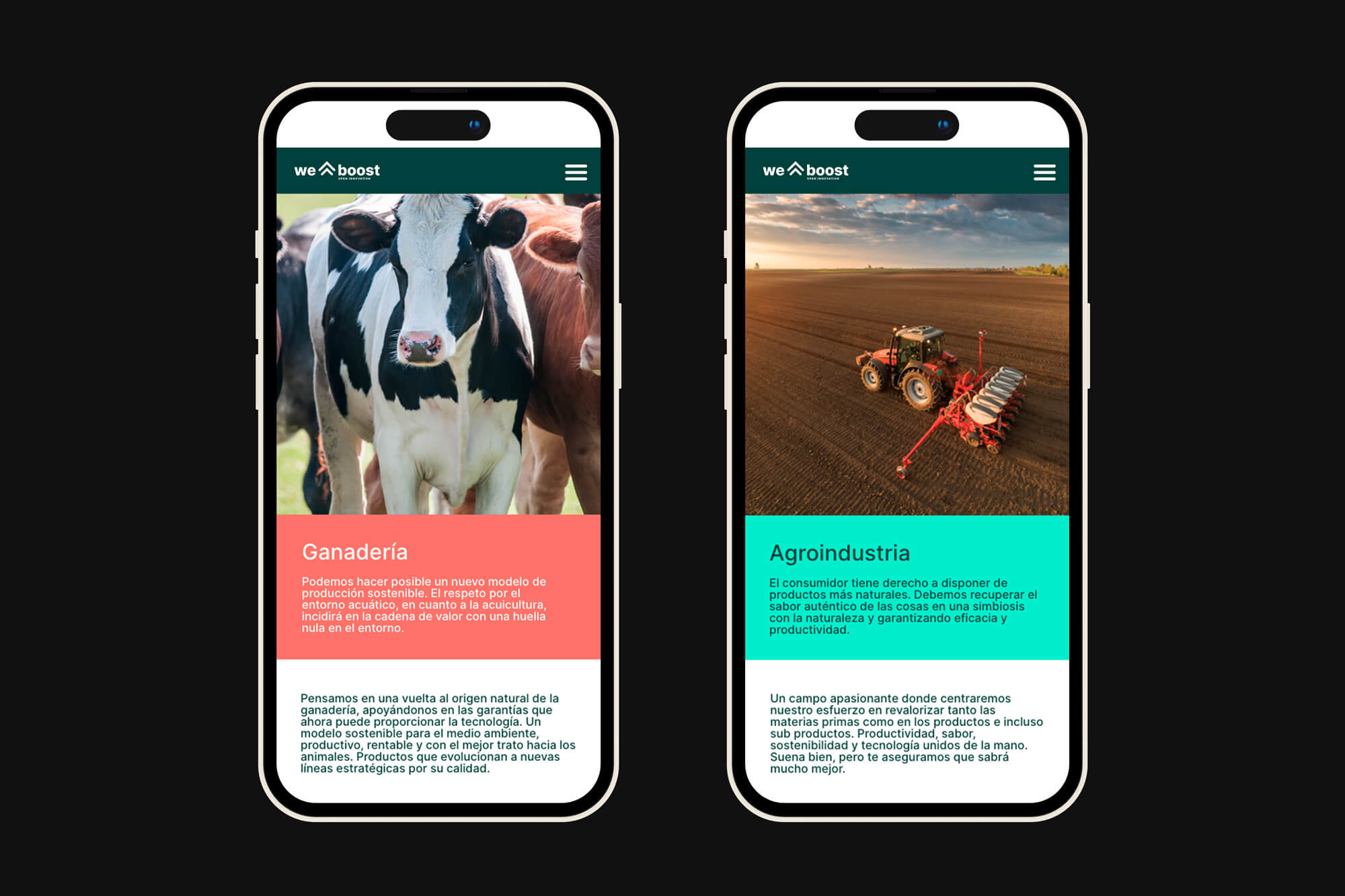 Diseño y desarrollo de website corporativo para Weboost. Vista detalle iPhone.